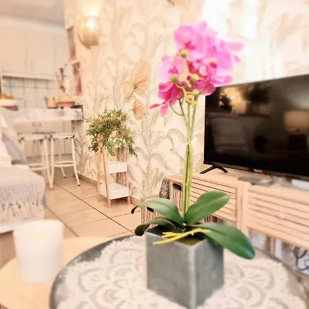 Apartament Tropical En Playa Del Ingles Maspalomas (Gran Canaria)