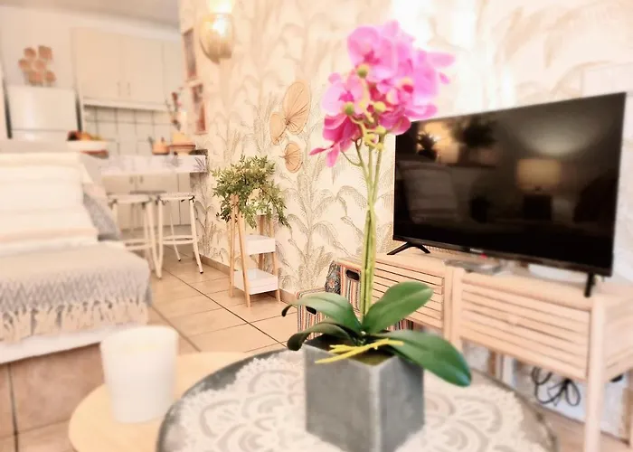 Apartment Tropical En Playa Del Ingles Maspalomas (Gran Canaria)